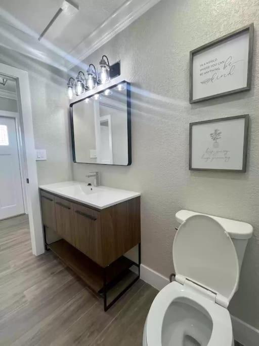 Alluring Luxury Oasis, Modern Comfort & Relaxation Wellington Exterior photo